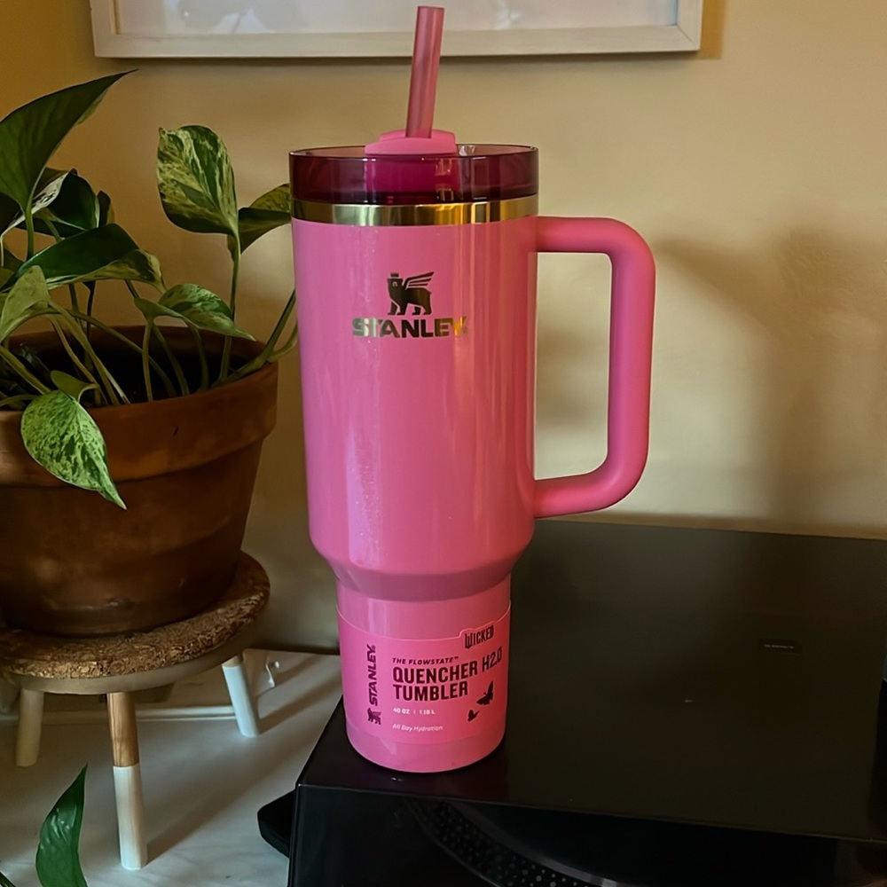 Stanley Wicked Cup 40 oz